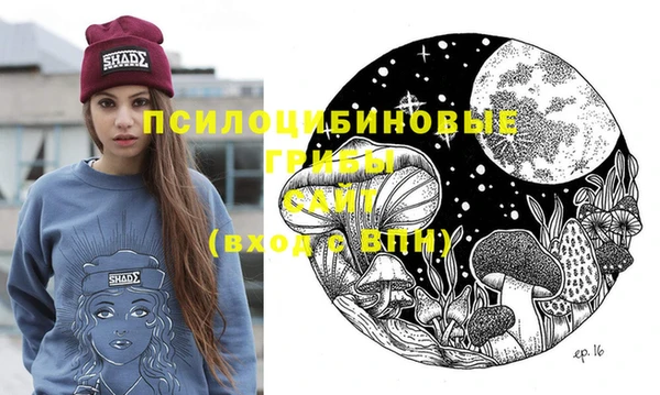 spice Алзамай