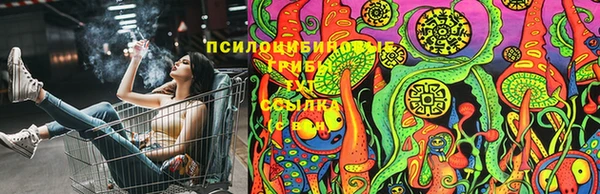 spice Алзамай