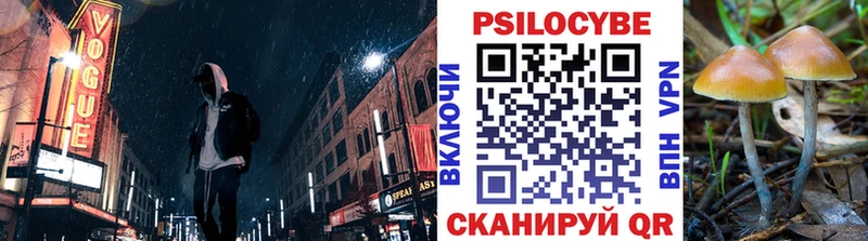 Галлюциногенные грибы Magic Shrooms  Ессентукская 